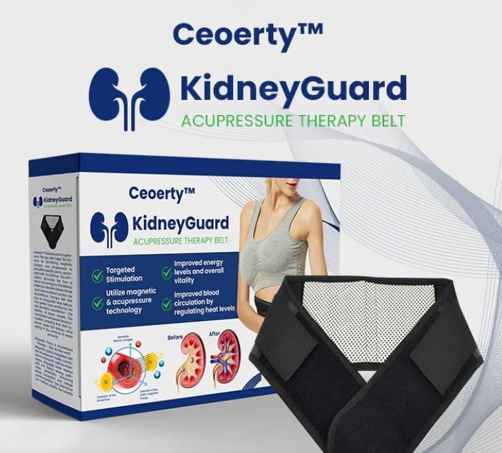 HOTLIST CART Kidney Guard Acupressure Therapy Belt